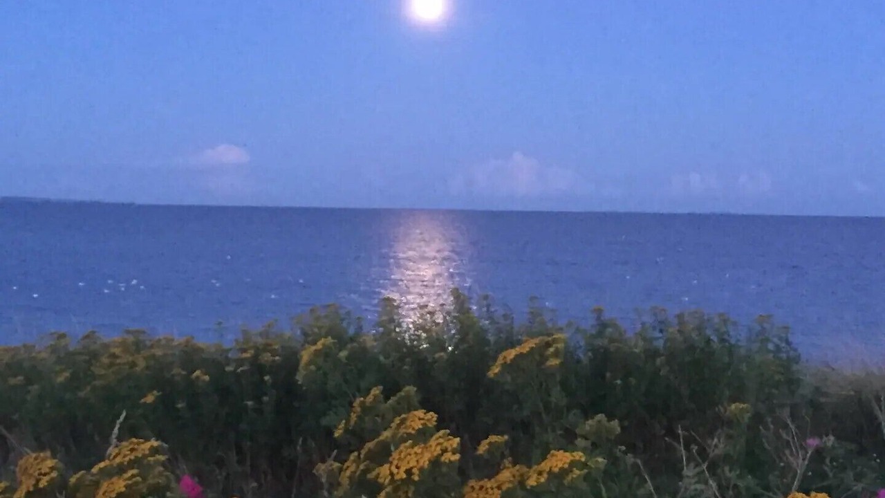 Photo of Others in Vejlby Risskov