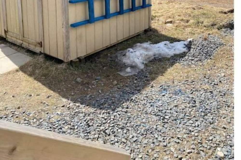 Photo of Outdoor in Inverness