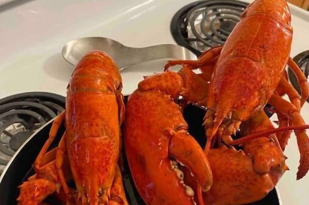 Photo of Others in Inverness