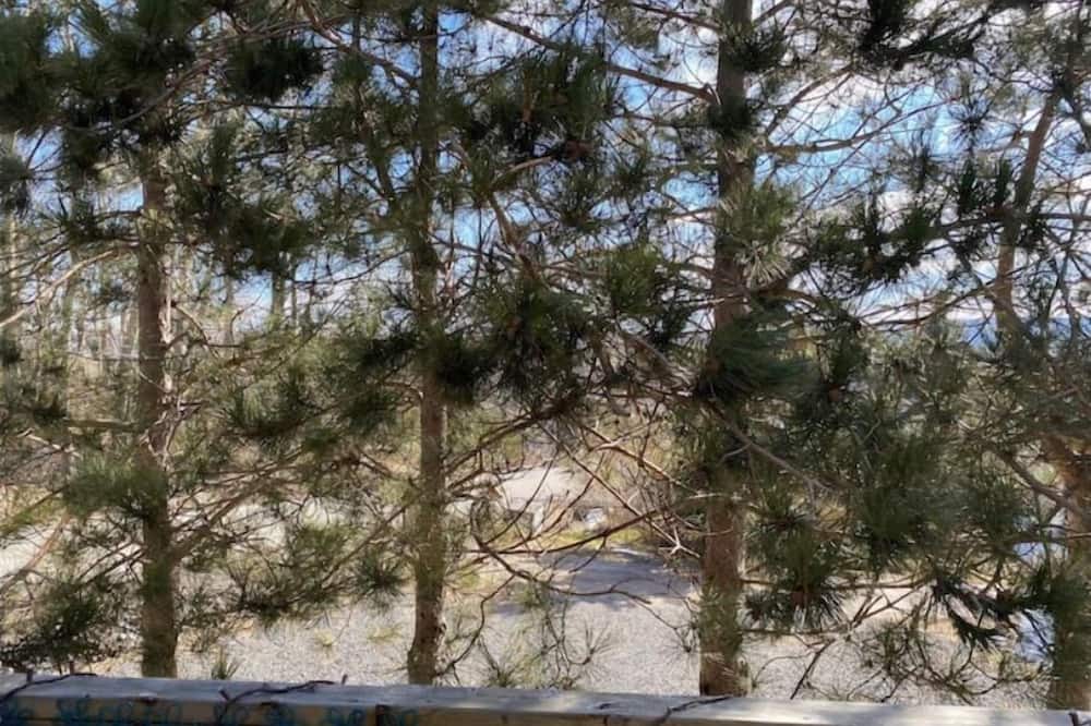 Photo of Outdoor in Inverness