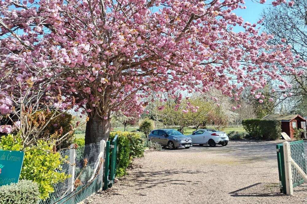 Photo of Outdoor in Berville-sur-Mer