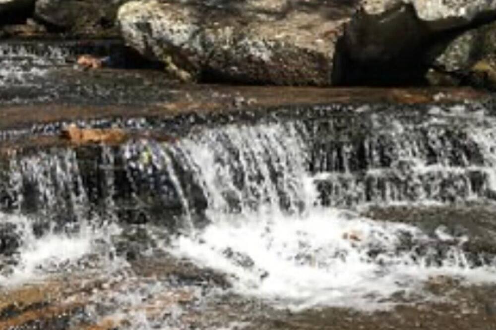Photo of Others in Heber Springs