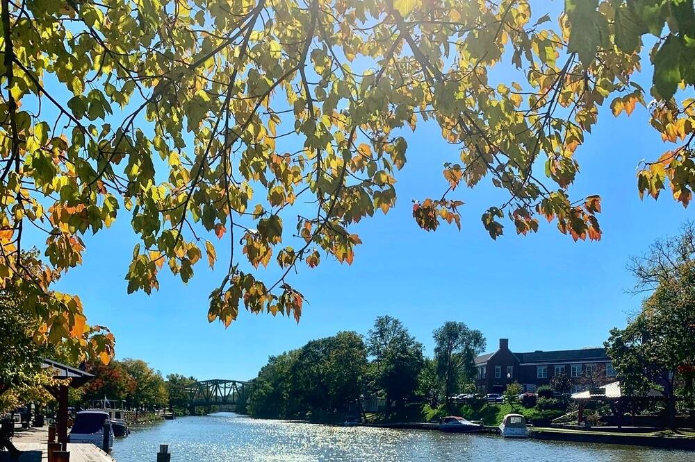 Photo of Others in Pittsford