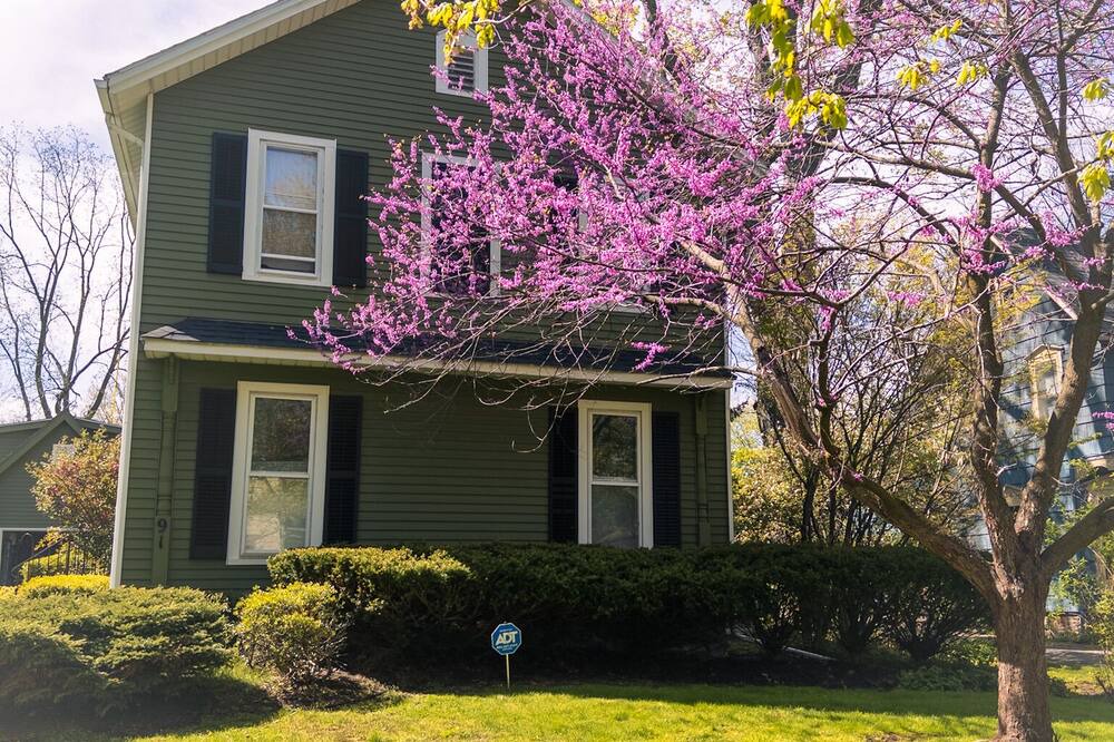 Photo of Outdoor in Pittsford