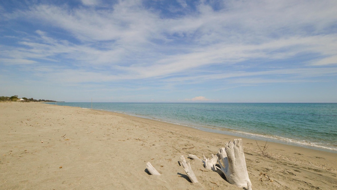 Photo of Others in Casamozza