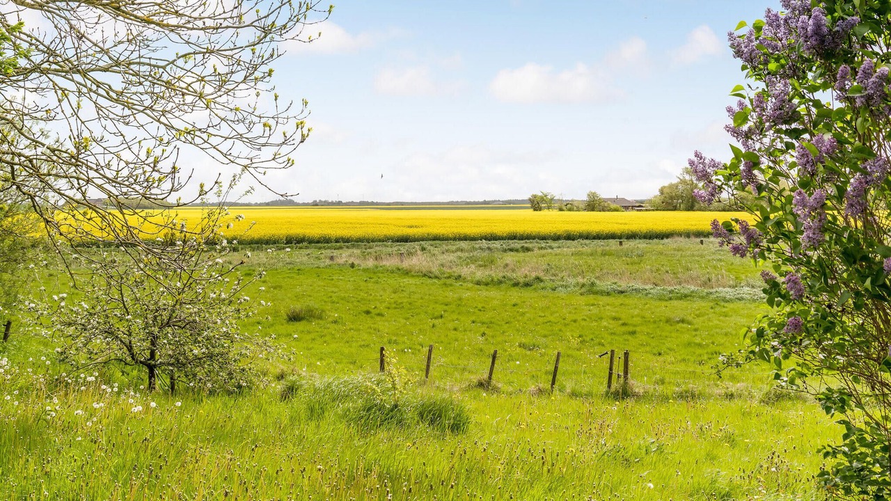 Photo of Others in Rudbøl