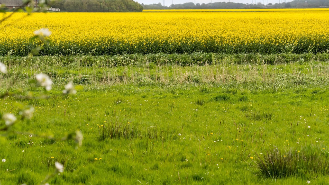 Photo of Outdoor in Rudbøl