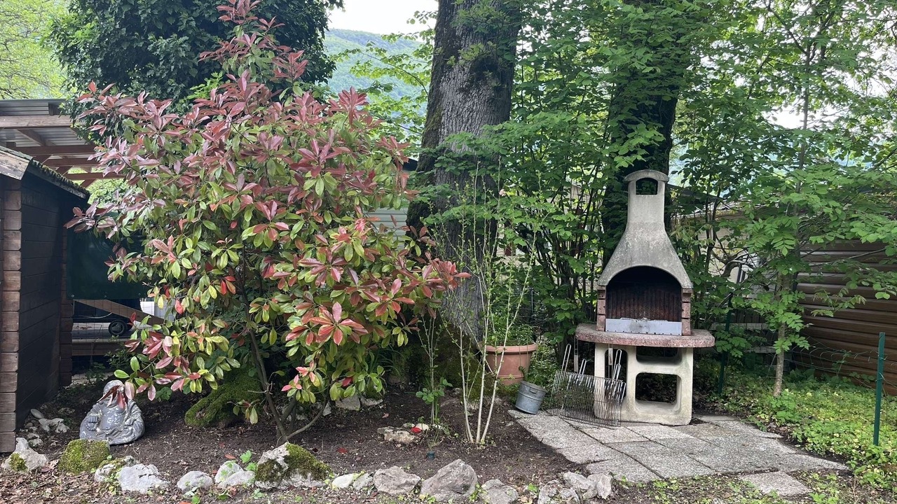 Photo of Outdoor in Nances