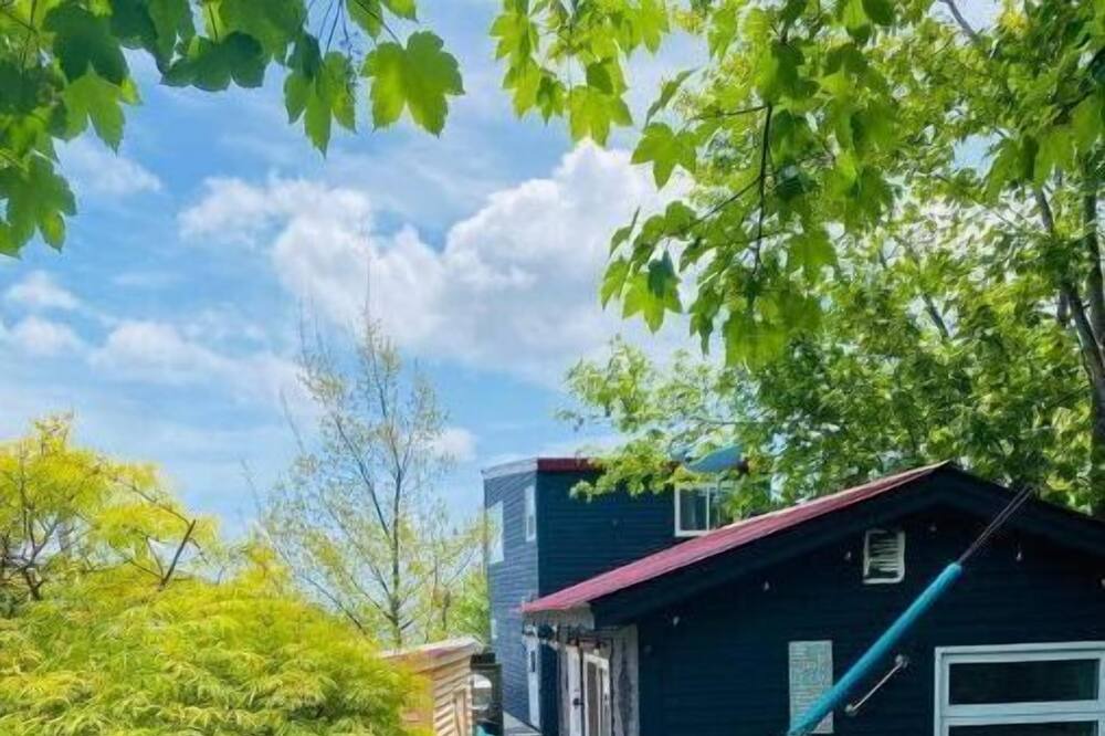 Photo of Outdoor in Upper Island Cove