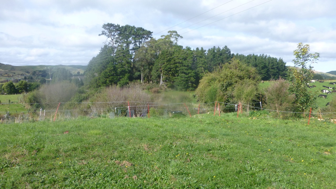 Photo of Outdoor in Eketahuna