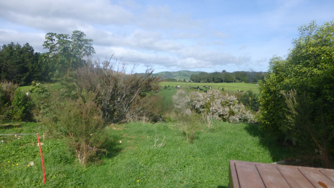 Photo of Outdoor in Eketahuna