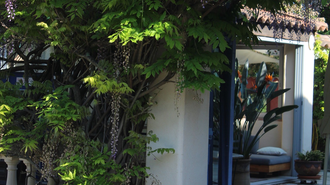 Photo of Others in Forcalqueiret