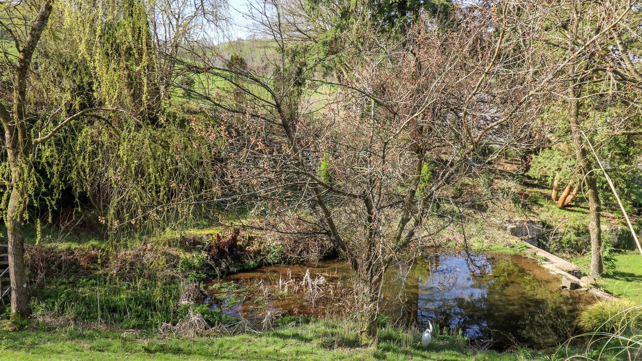 Photo of Outdoor in Pont-ar-gothi