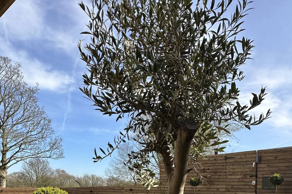 Photo of Outdoor in Upholland