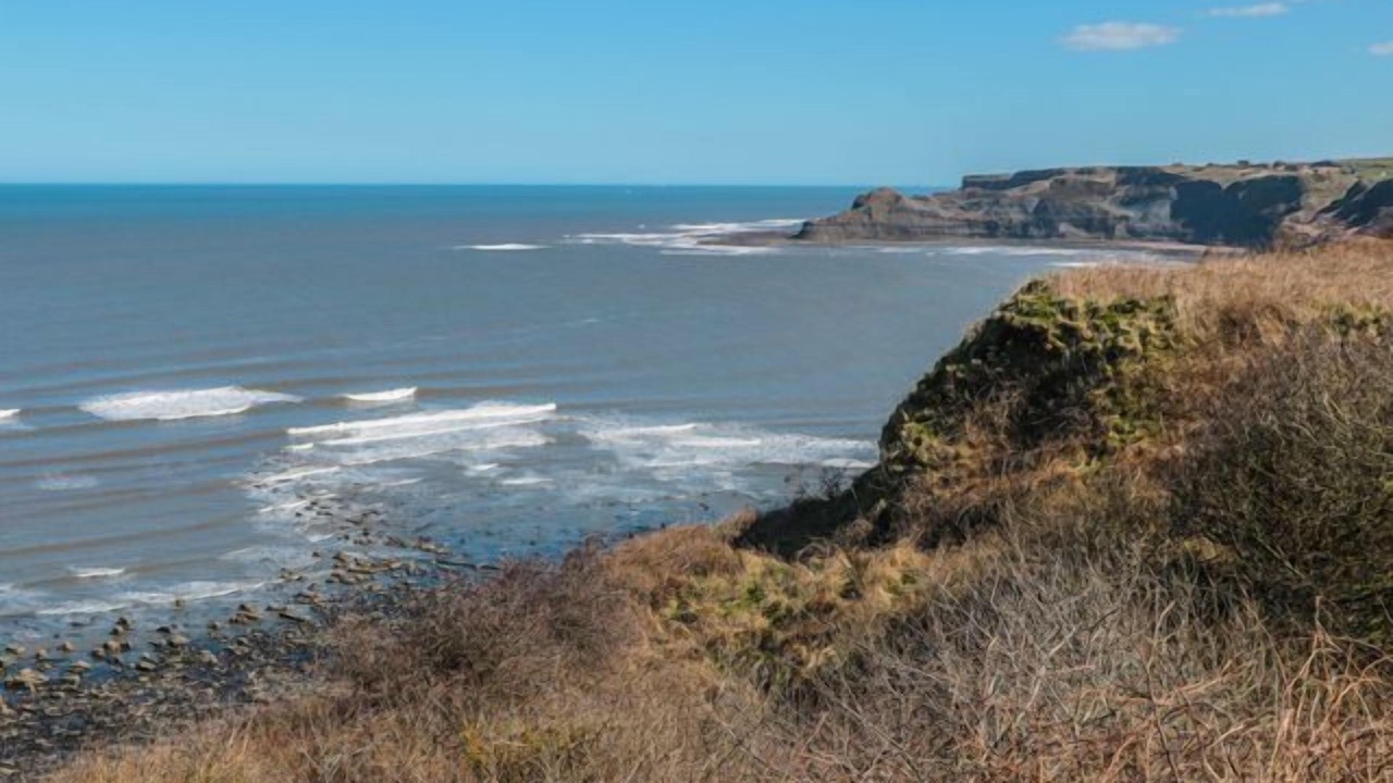 Photo of Others in Runswick Bay