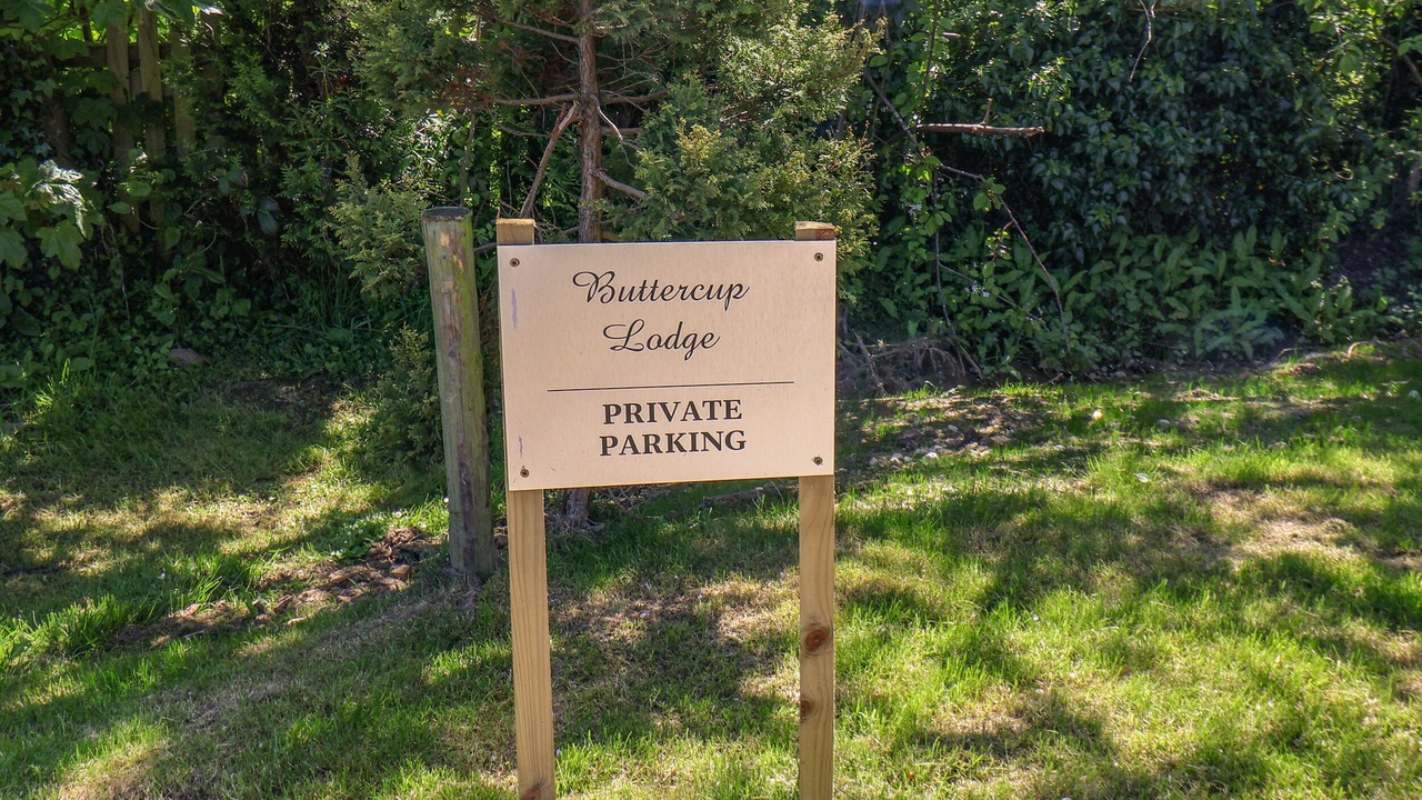 Photo of Others in Runswick Bay