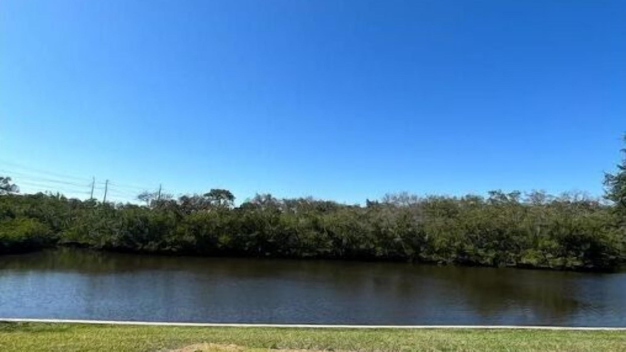 Photo of Outdoor in Palm River-Clair Mel