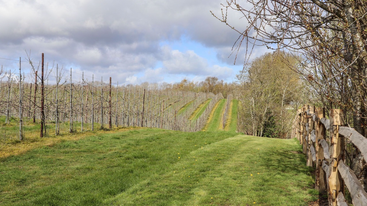 Photo of Others in Paddock Wood