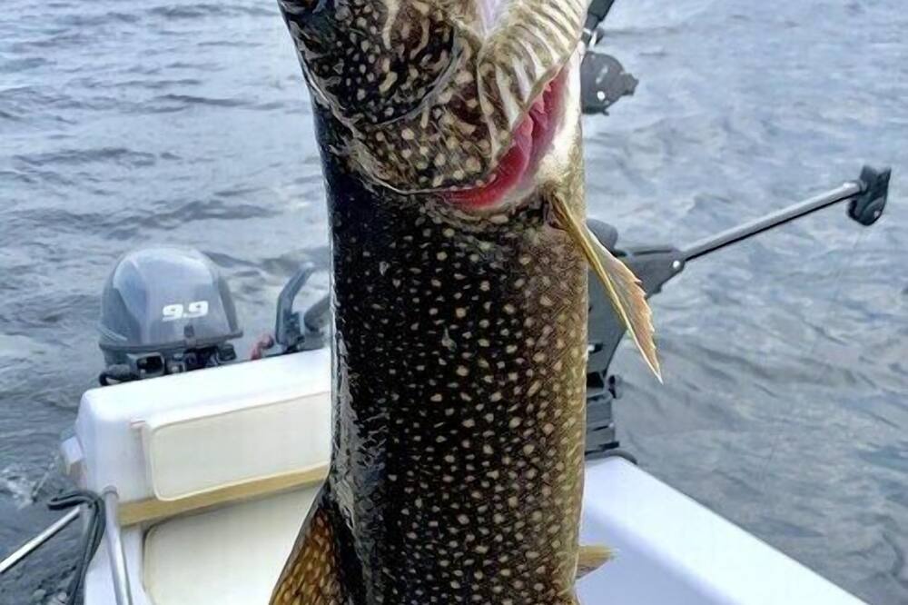 Photo of Others in Beaver Cove