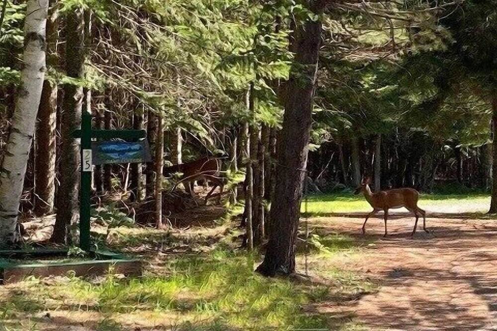 Photo of Others in Beaver Cove