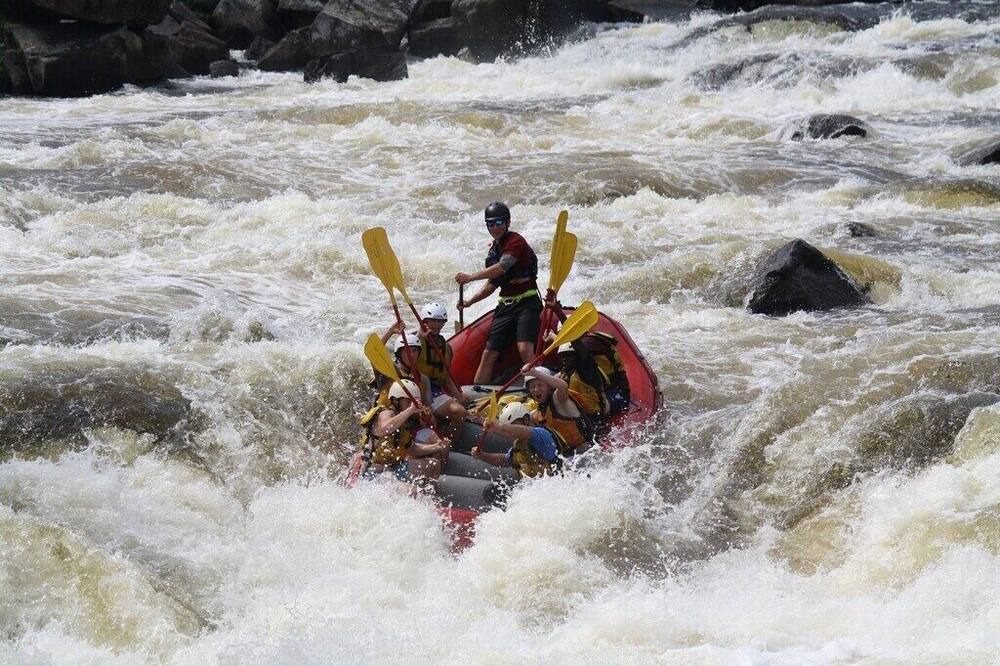 Photo of Others in Beaver Cove