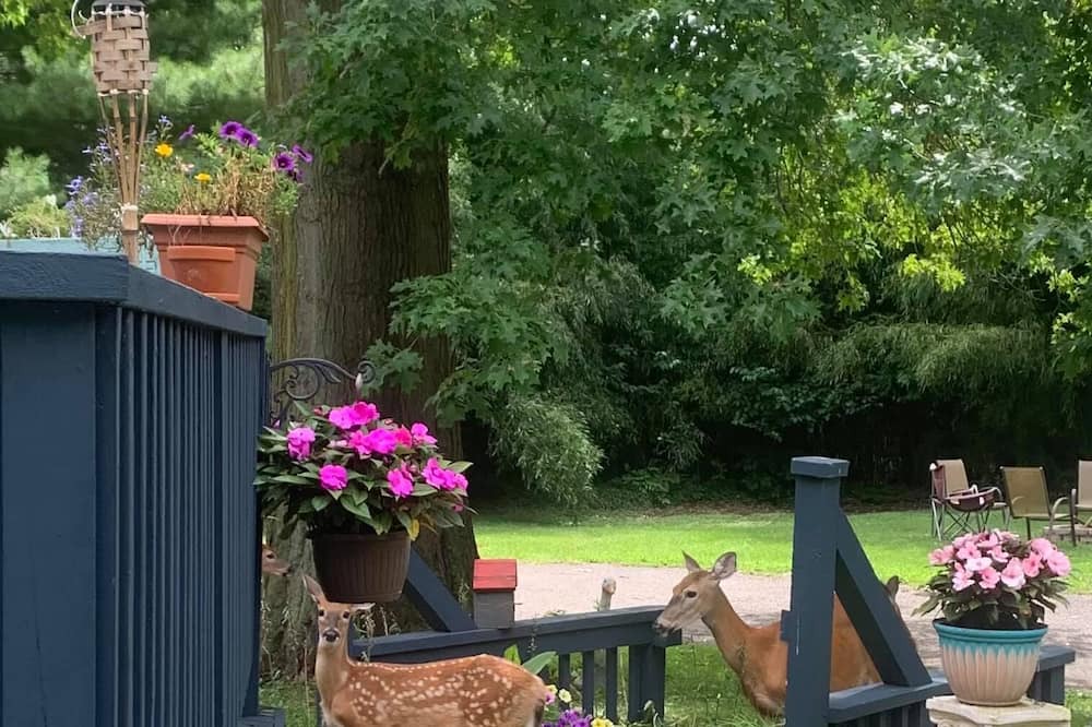 Photo of Outdoor in Willoughby