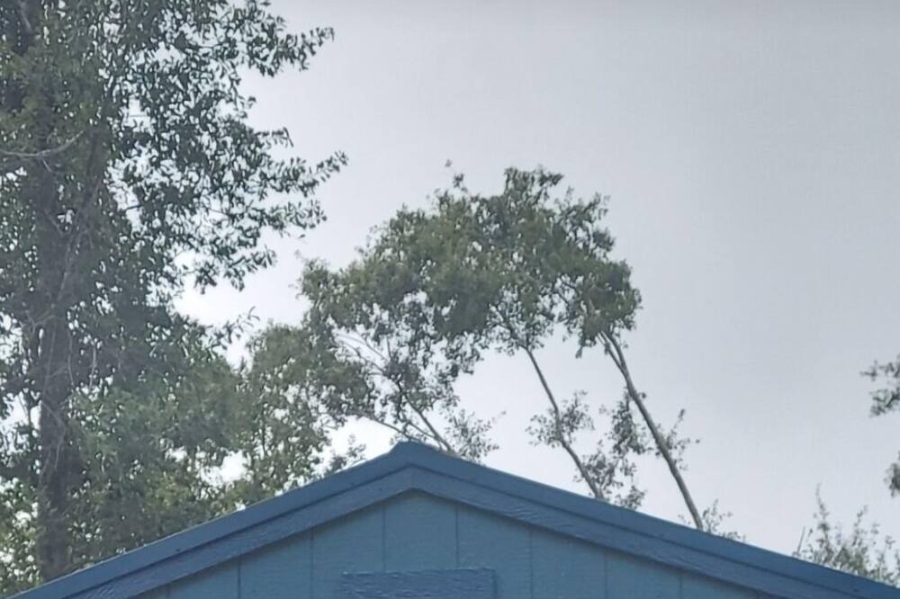 Photo of Outdoor in Foley
