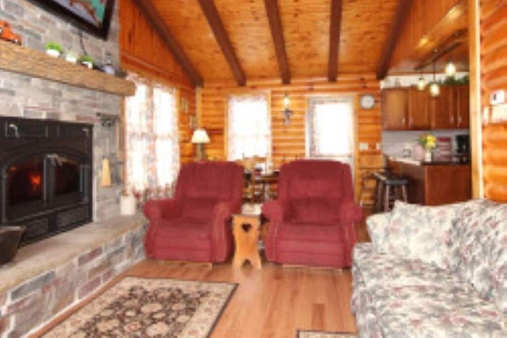 Photo of Livingroom in Loudonville