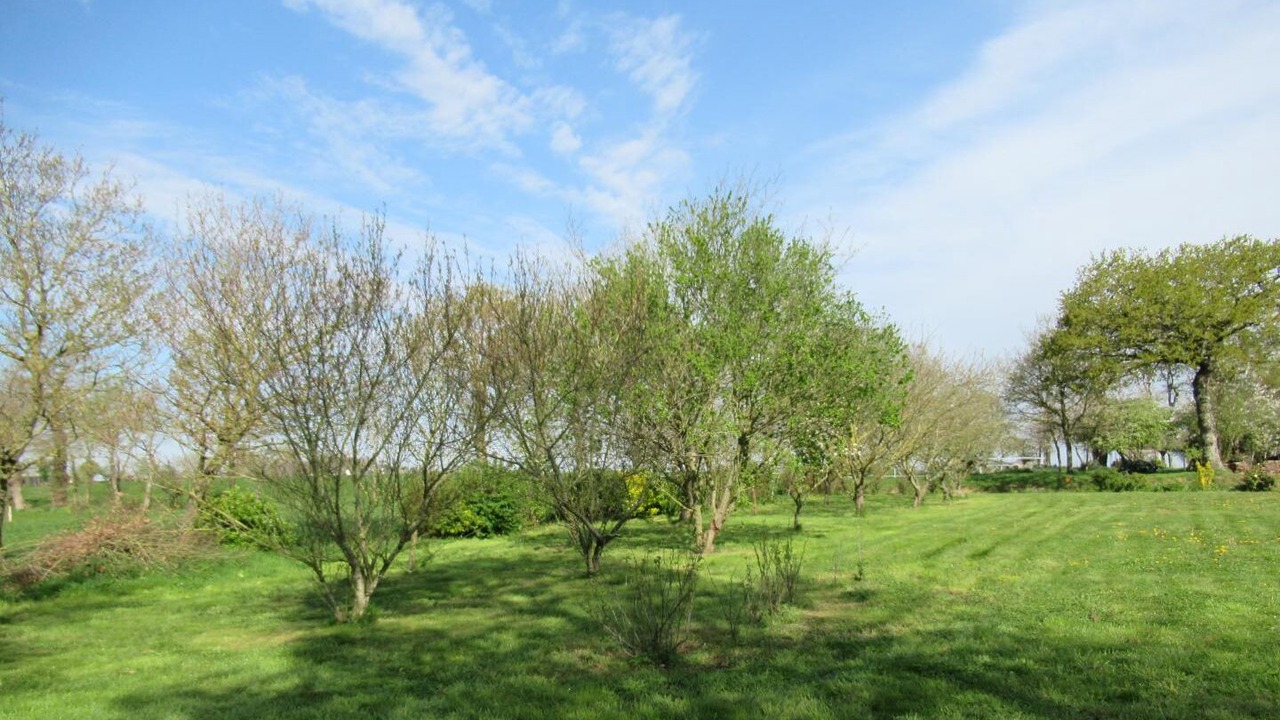 Photo of Outdoor in Gael