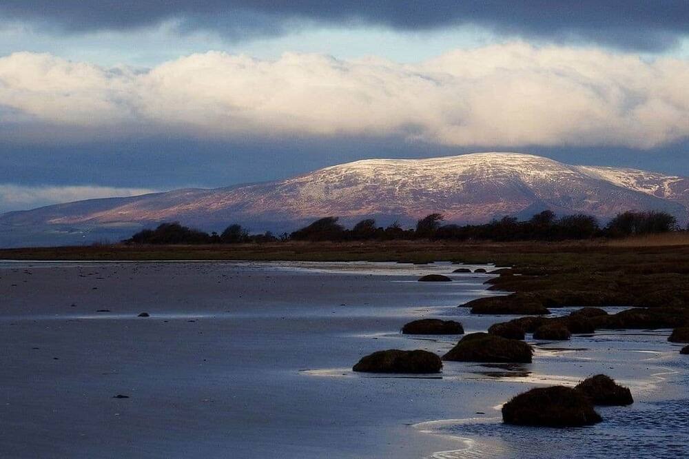 Photo of Others in Cummertrees