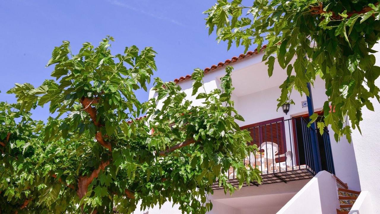 Photo of Outdoor in Torreblanca