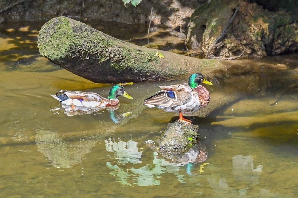 Photo of Others in Saltash