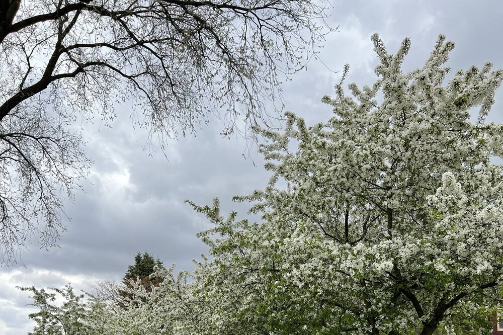 Photo of Outdoor in Tiffin