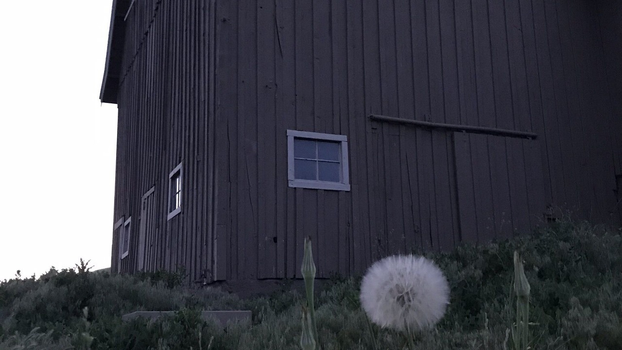 Photo of Outdoor in Whitman County