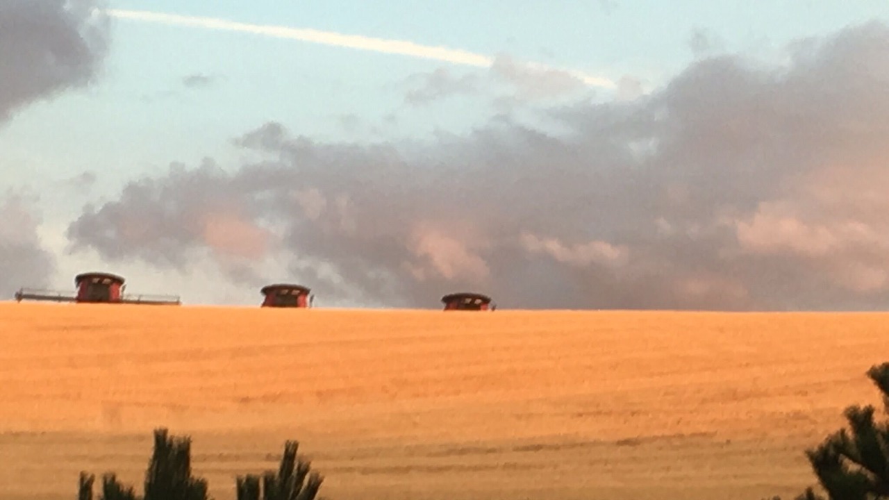 Photo of Outdoor in Whitman County