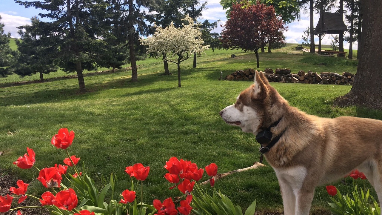 Photo of Outdoor in Whitman County
