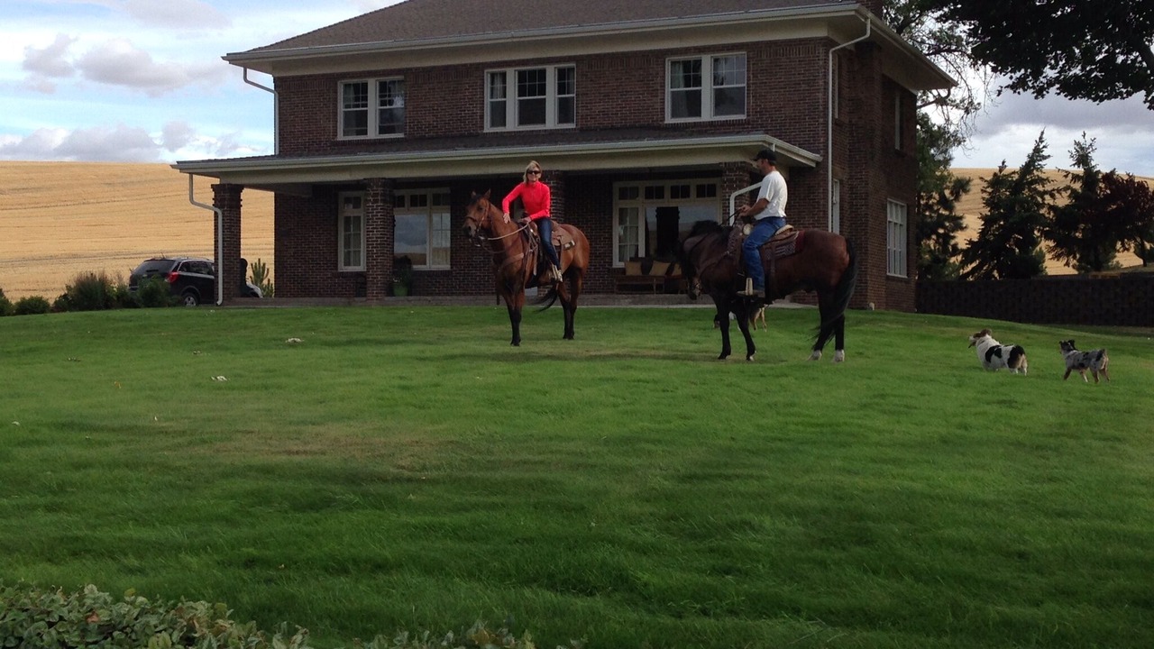 Photo of Others in Whitman County