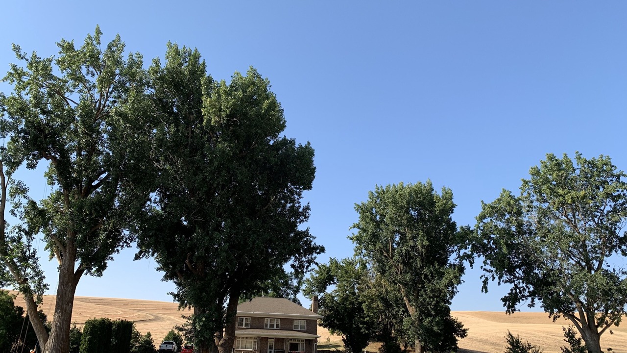 Photo of Outdoor in Whitman County