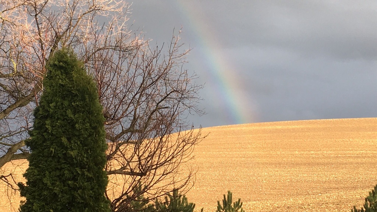 Photo of Others in Whitman County