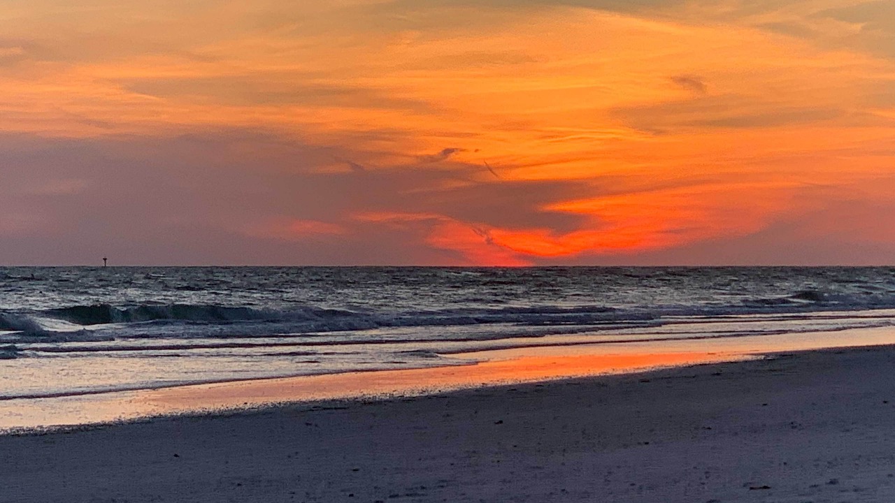 Photo of Others in Sarasota