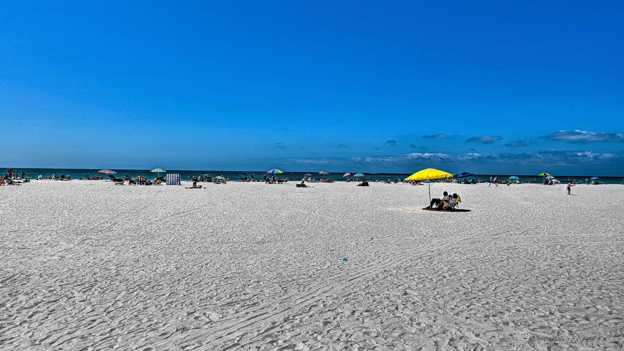Photo of Others in Sarasota