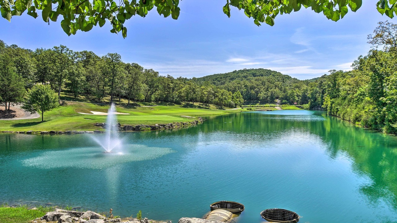 Photo of Others in Branson West