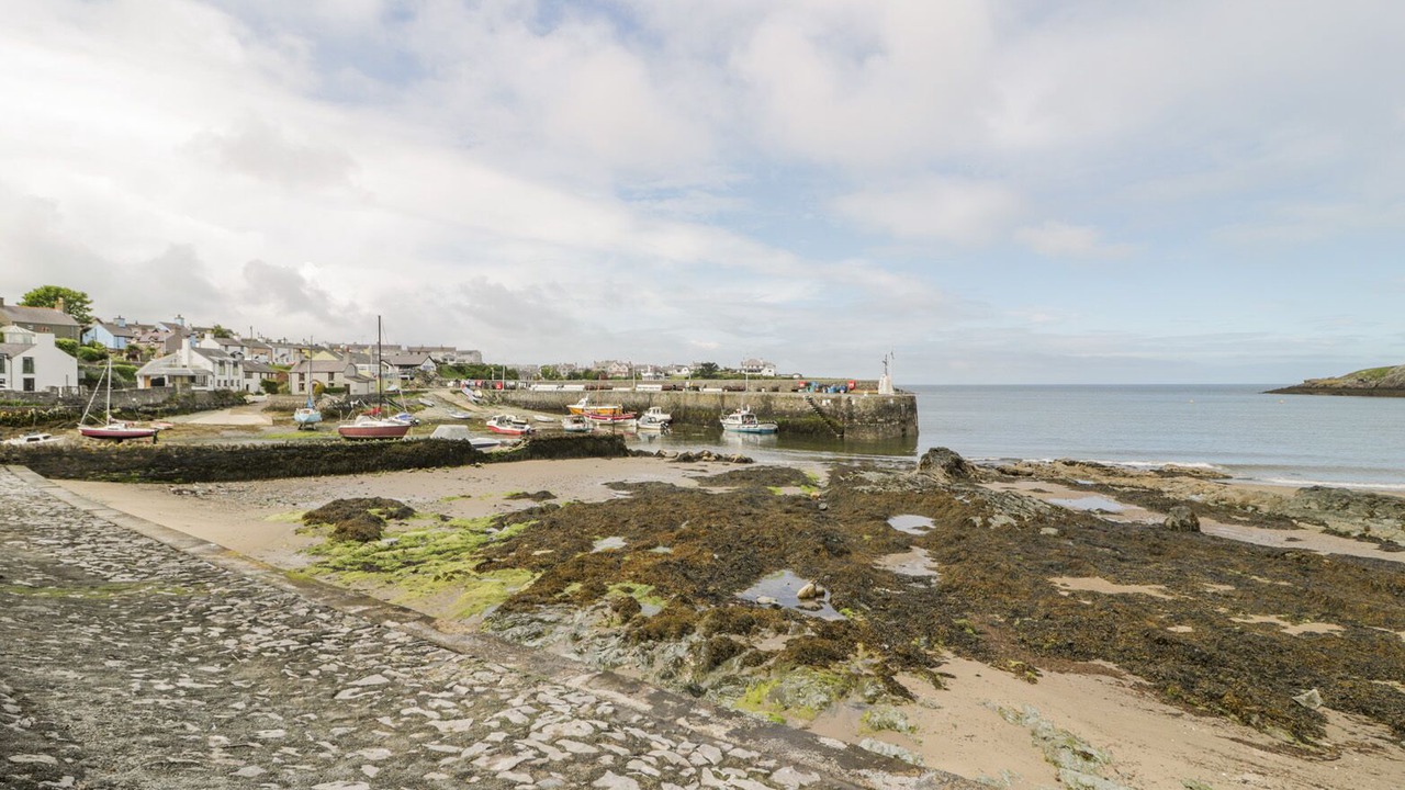 Photo of Others in Cemaes Bay
