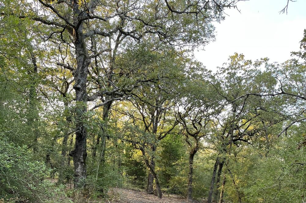 Photo of Outdoor in Lee County