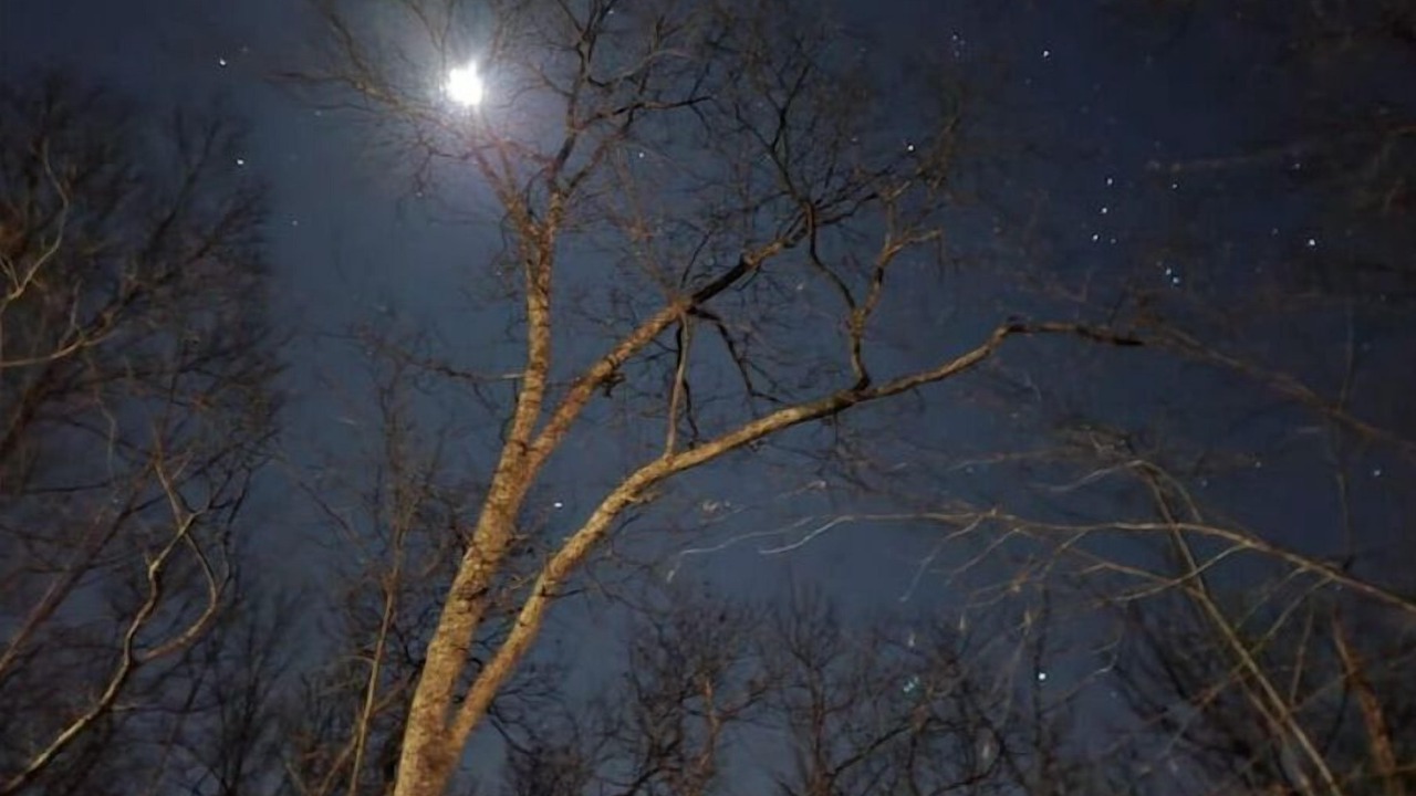Photo of Outdoor in Bushkill