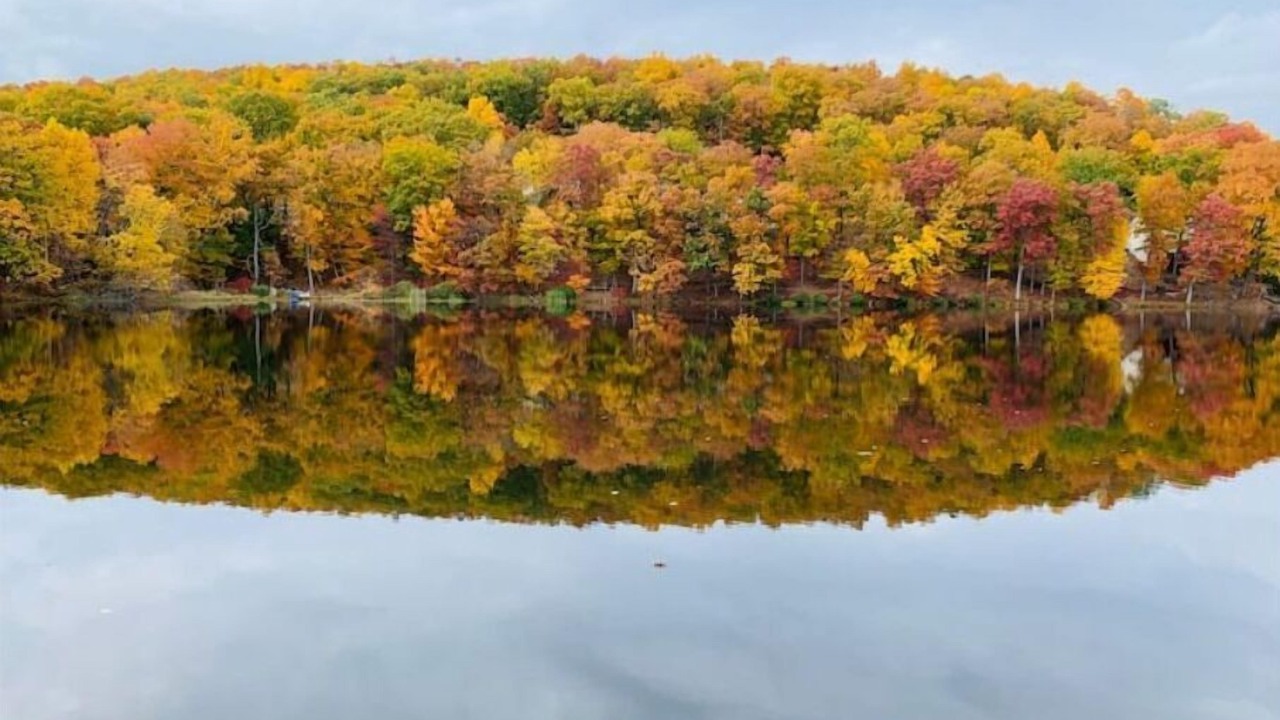 Photo of Outdoor in Bushkill