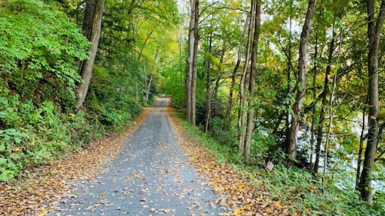 Photo of Others in Bushkill