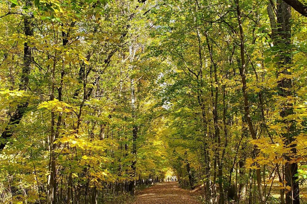 Photo of Outdoor in Lac-Brome