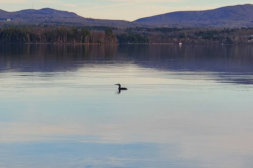 Photo of Others in Lac-Brome