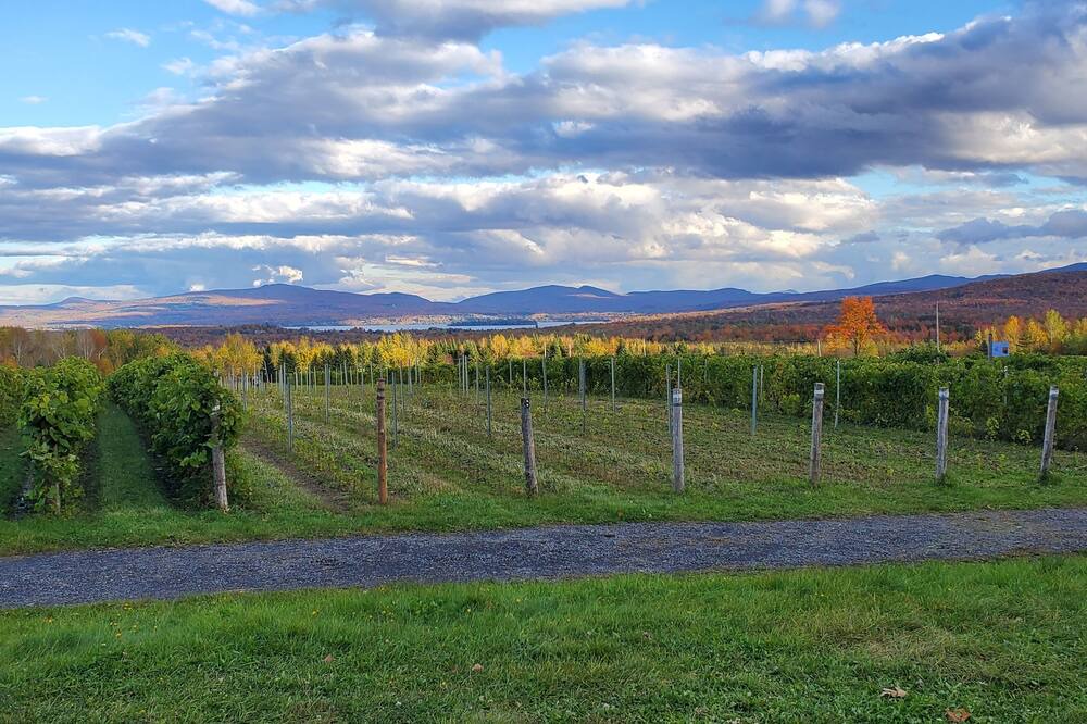 Photo of Outdoor in Lac-Brome